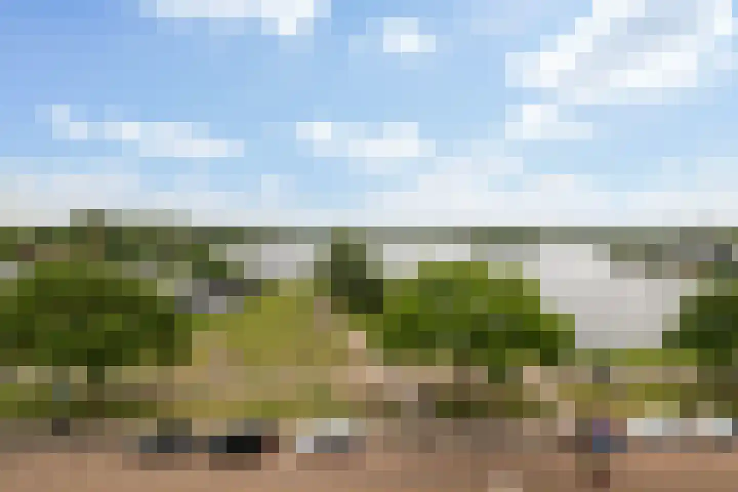 Weissenbruchlaan 94 Rotterdam thumbnail 13