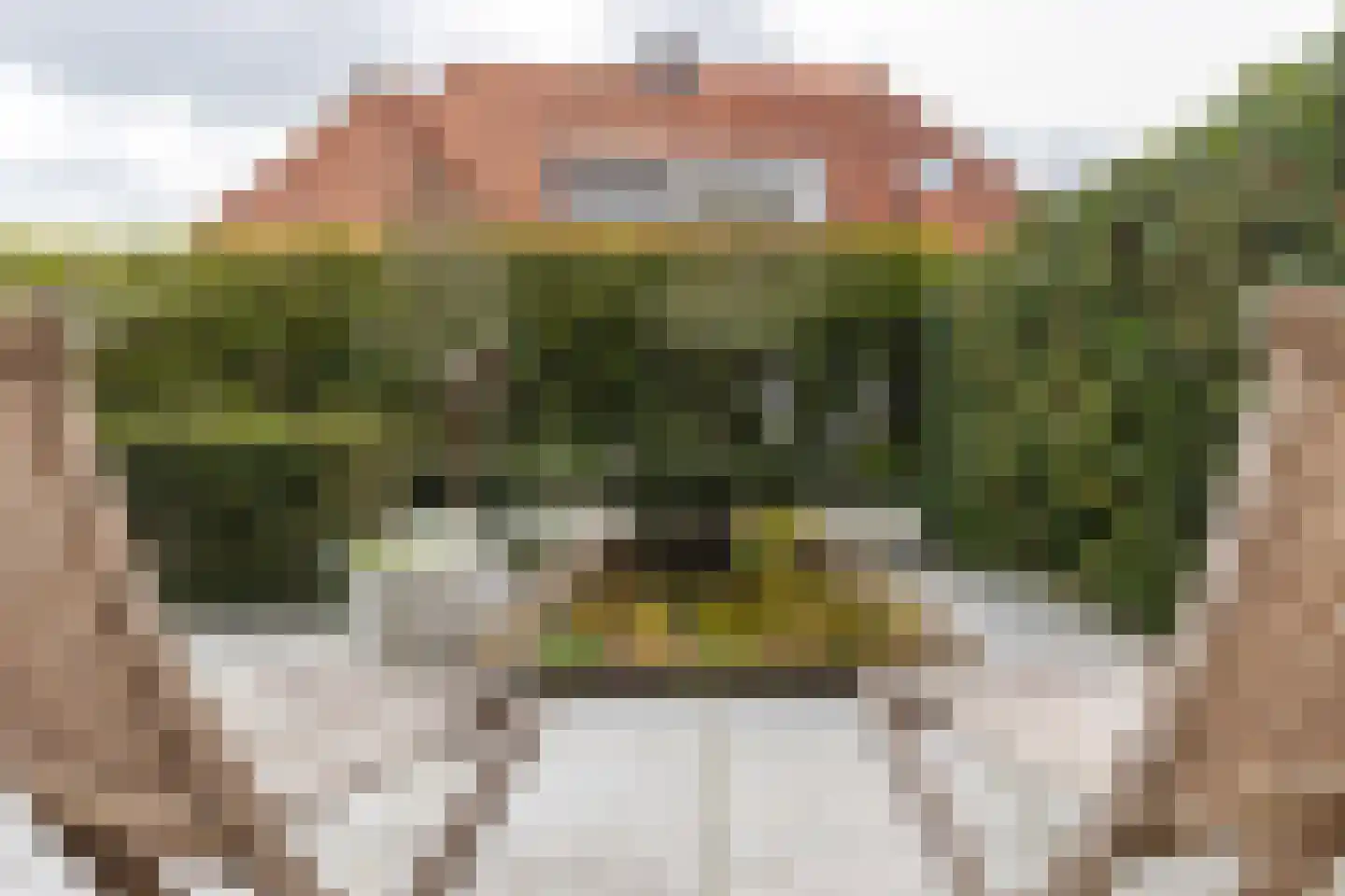 Weissenbruchstraat 11 Arnhem thumbnail 8