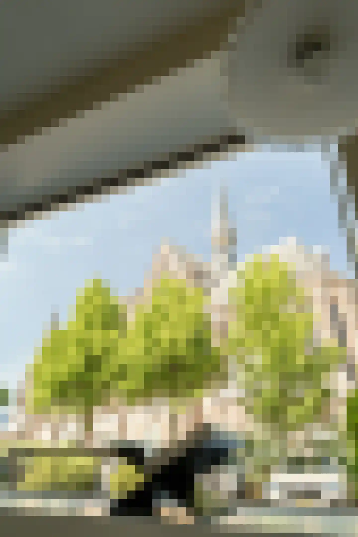 Weissenbruchstraat 13 Haarlem thumbnail 13