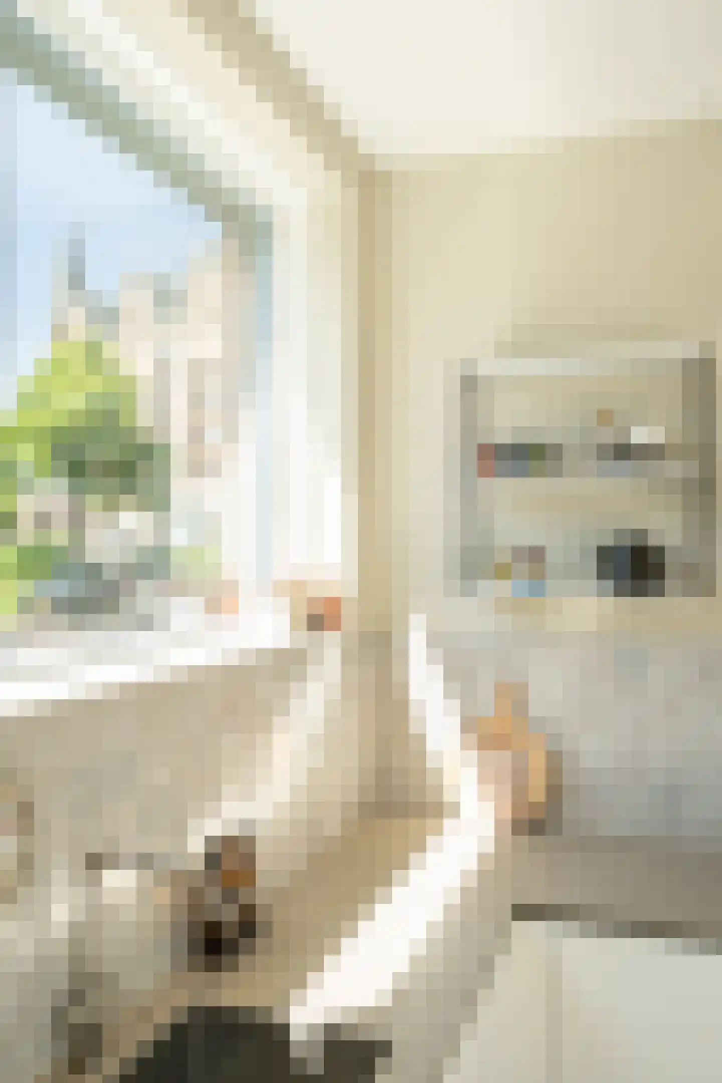 Weissenbruchstraat 13 Haarlem thumbnail 22