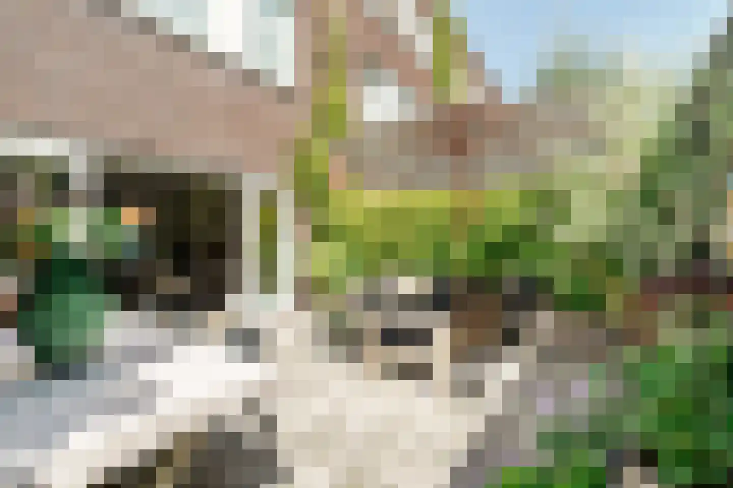 Weissenbruchstraat 13 Haarlem thumbnail 25