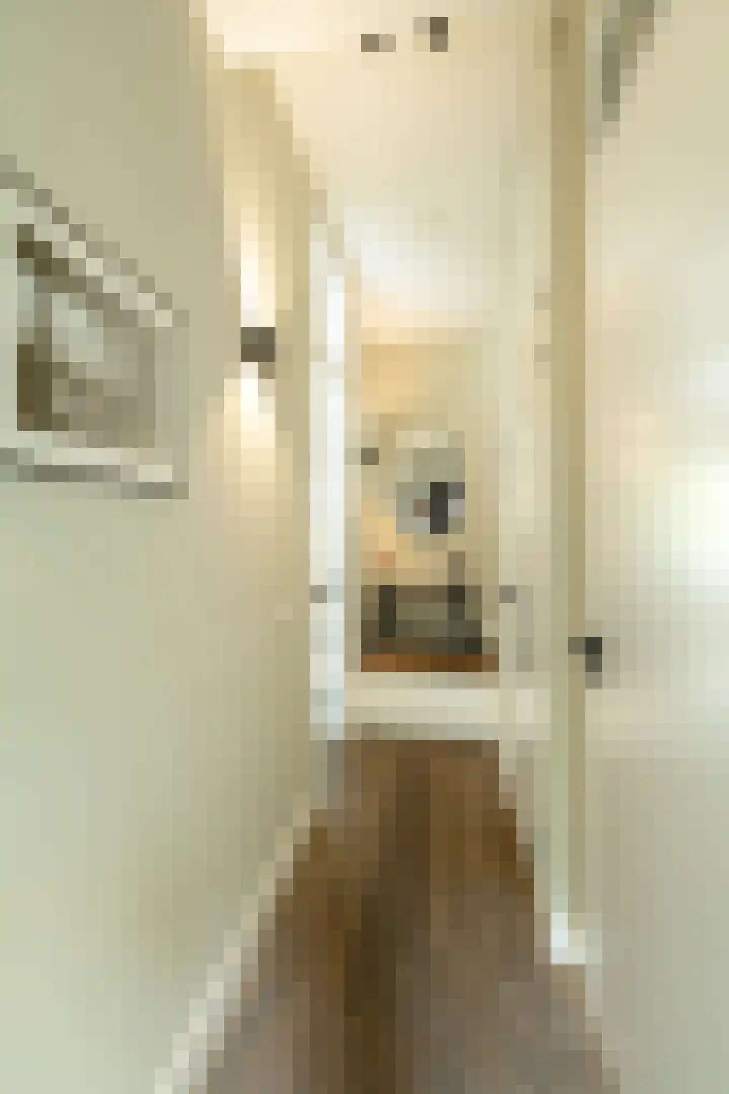 Weissenbruchstraat 13 Haarlem thumbnail 30
