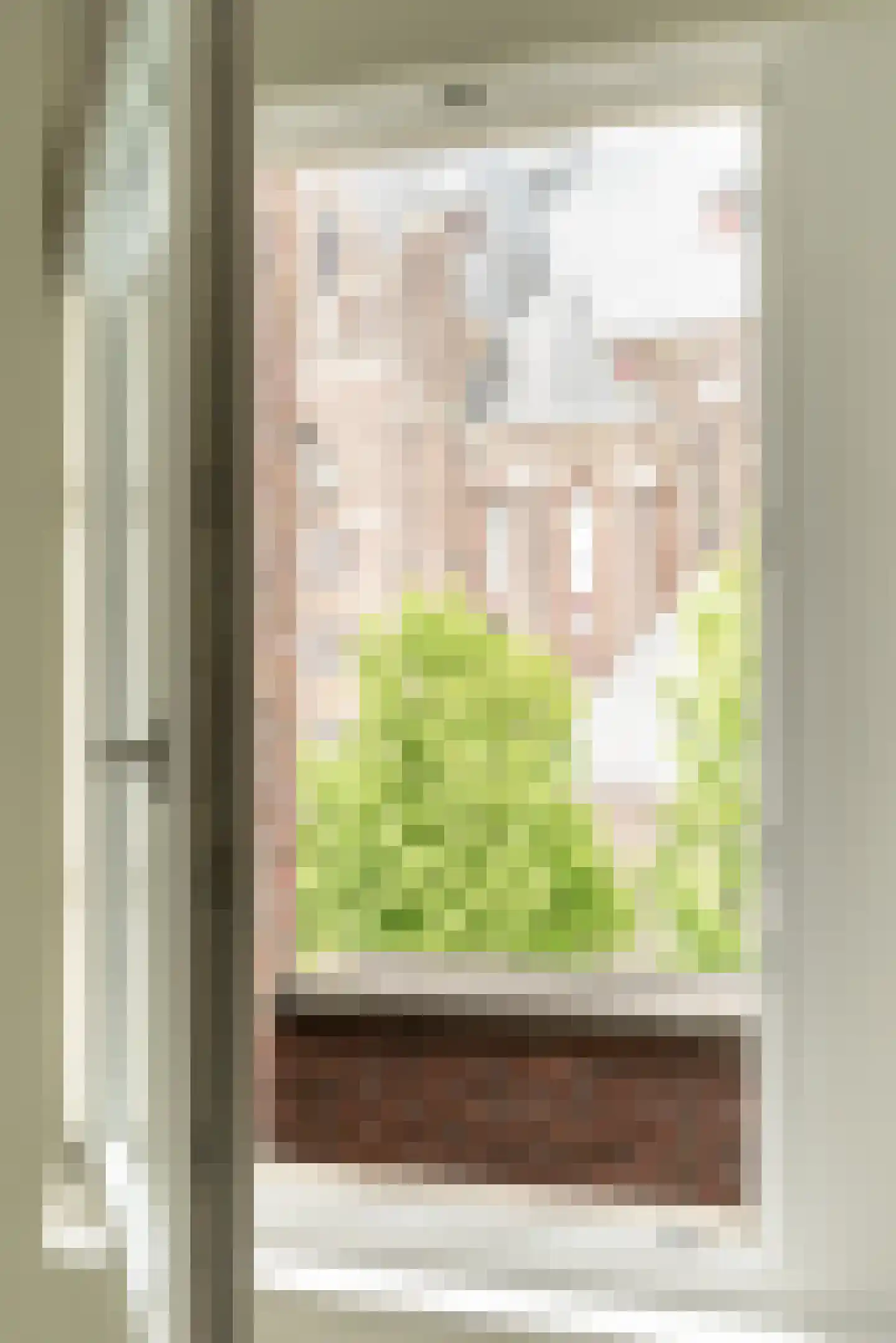 Weissenbruchstraat 13 Haarlem thumbnail 52