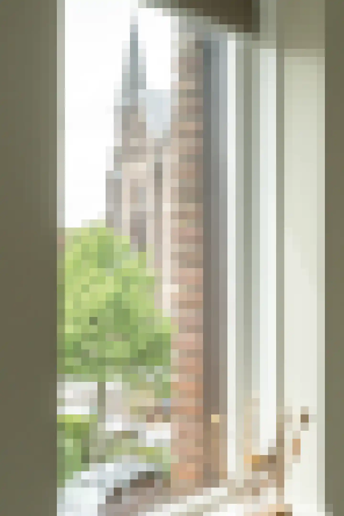 Weissenbruchstraat 13 Haarlem thumbnail 62