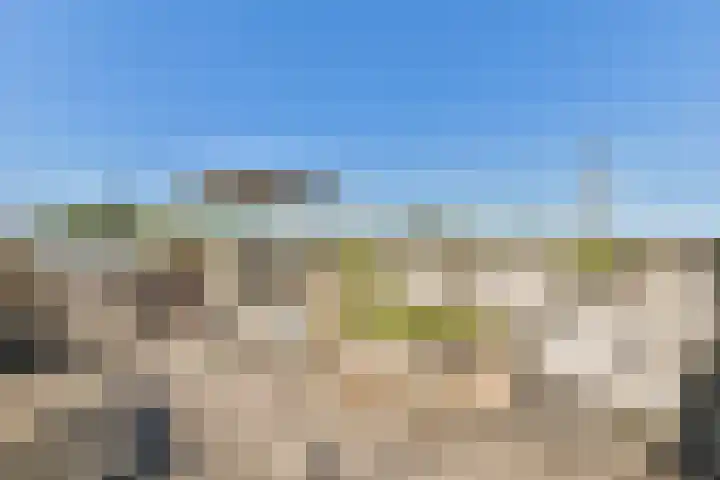 Weissenbruchstraat 14 en Den Haag