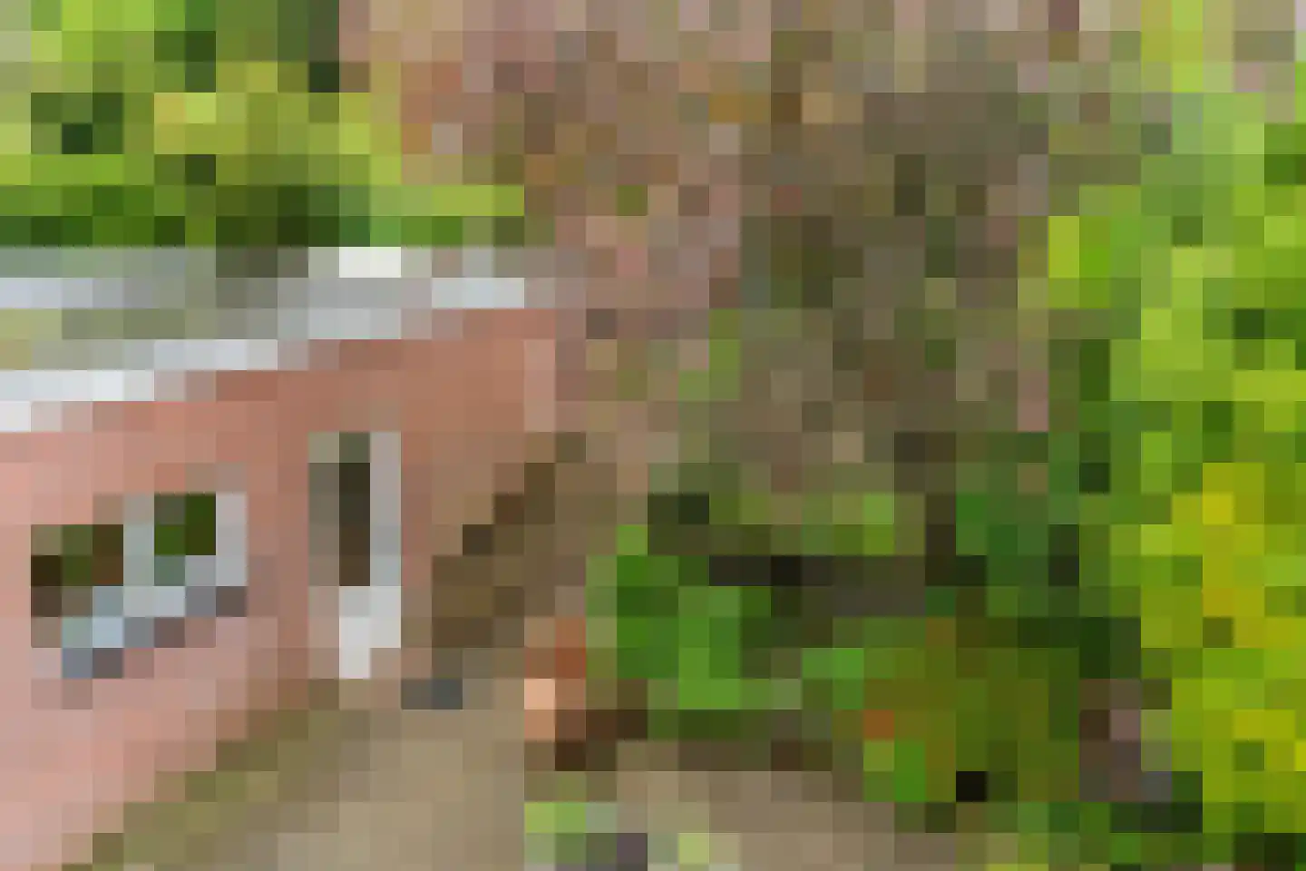Weissenbruchstraat 16 Arnhem thumbnail 22