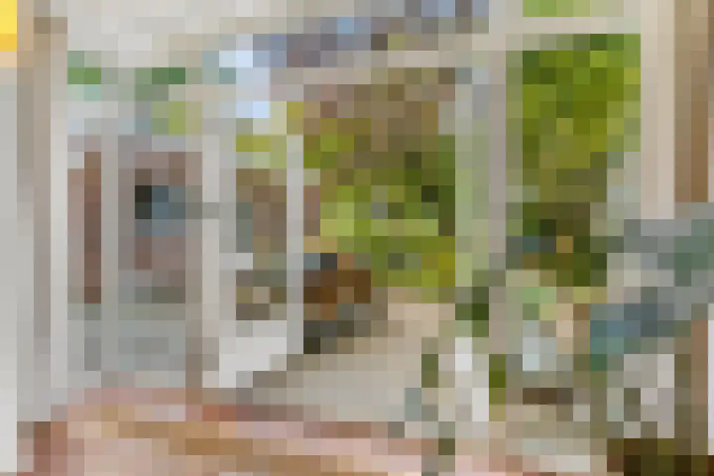 Weissenbruchstraat 16 Arnhem thumbnail 5