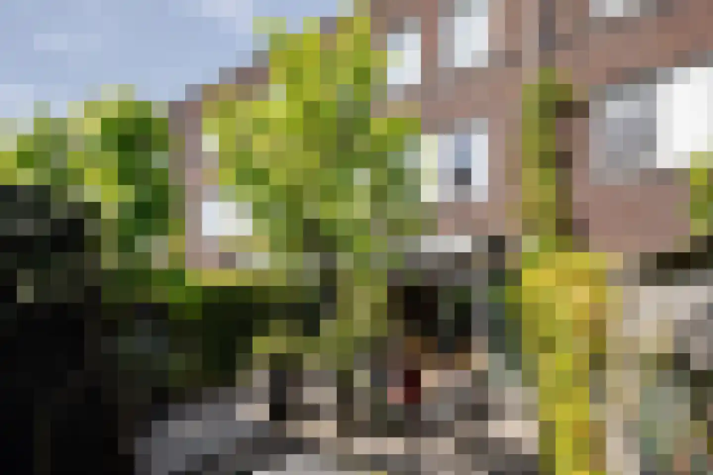 Weissenbruchstraat 17 Haarlem thumbnail 17