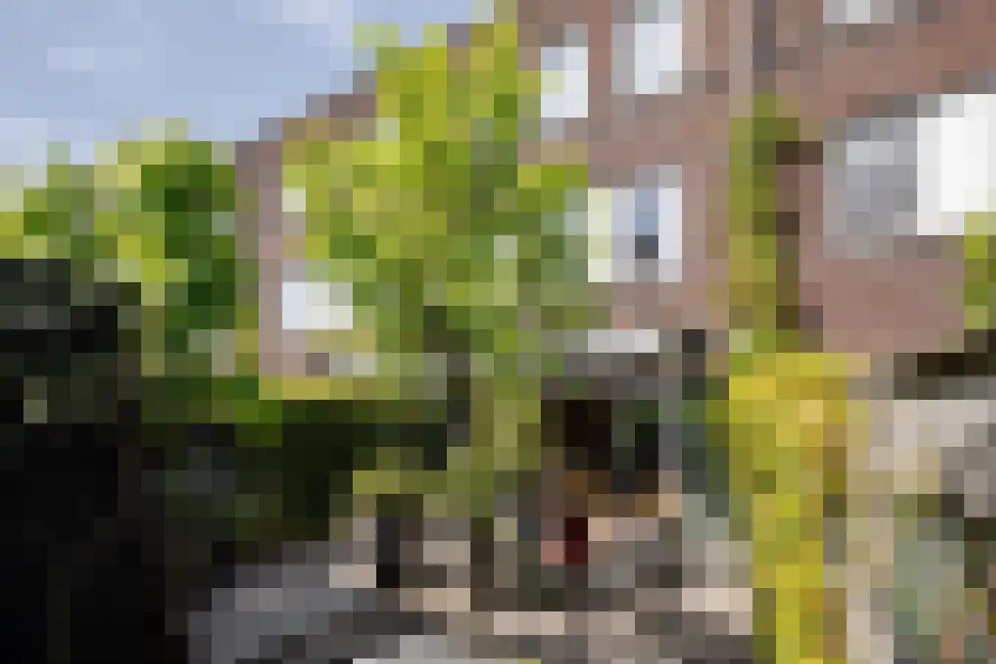 Weissenbruchstraat 17 Haarlem thumbnail 17