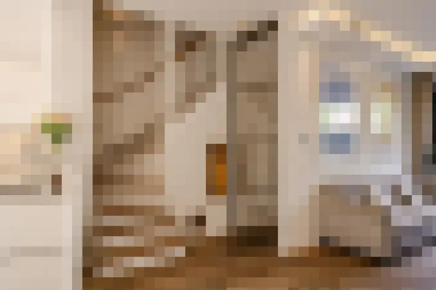 Weissenbruchstraat 17 Haarlem thumbnail 20
