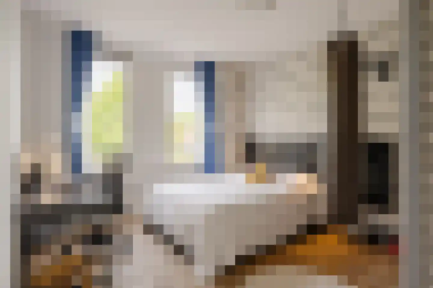 Weissenbruchstraat 17 Haarlem thumbnail 23