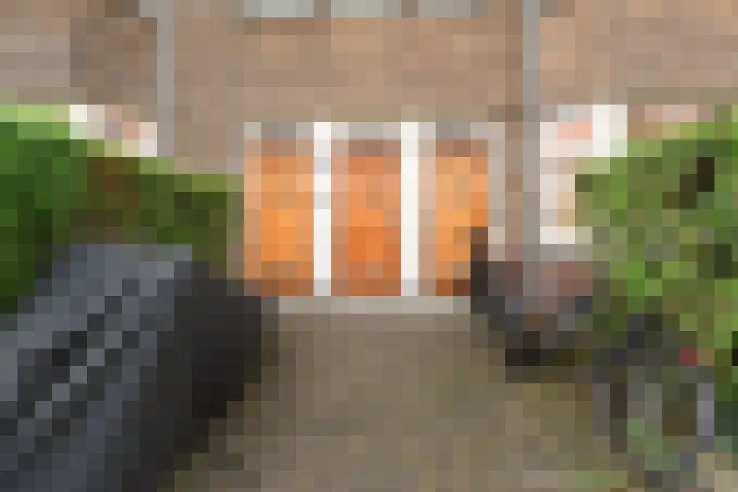 Weissenbruchstraat 267 Den Haag thumbnail 6