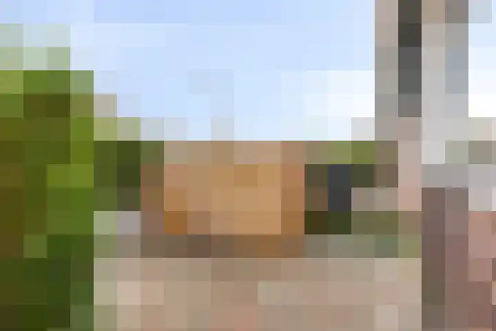 Weissenbruchstraat 27 Dordrecht thumbnail 4