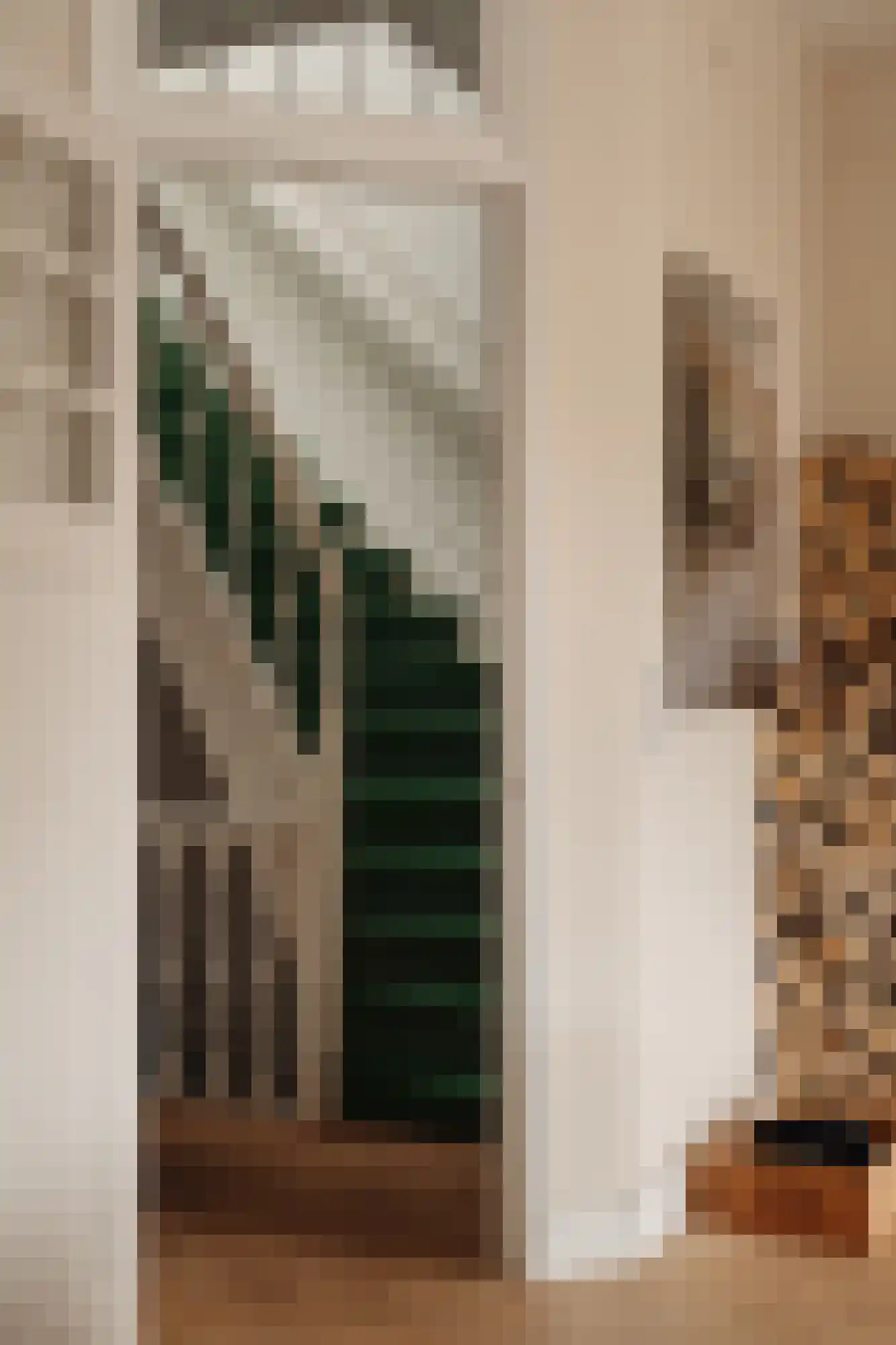 Weissenbruchstraat 3 Amsterdam thumbnail 10