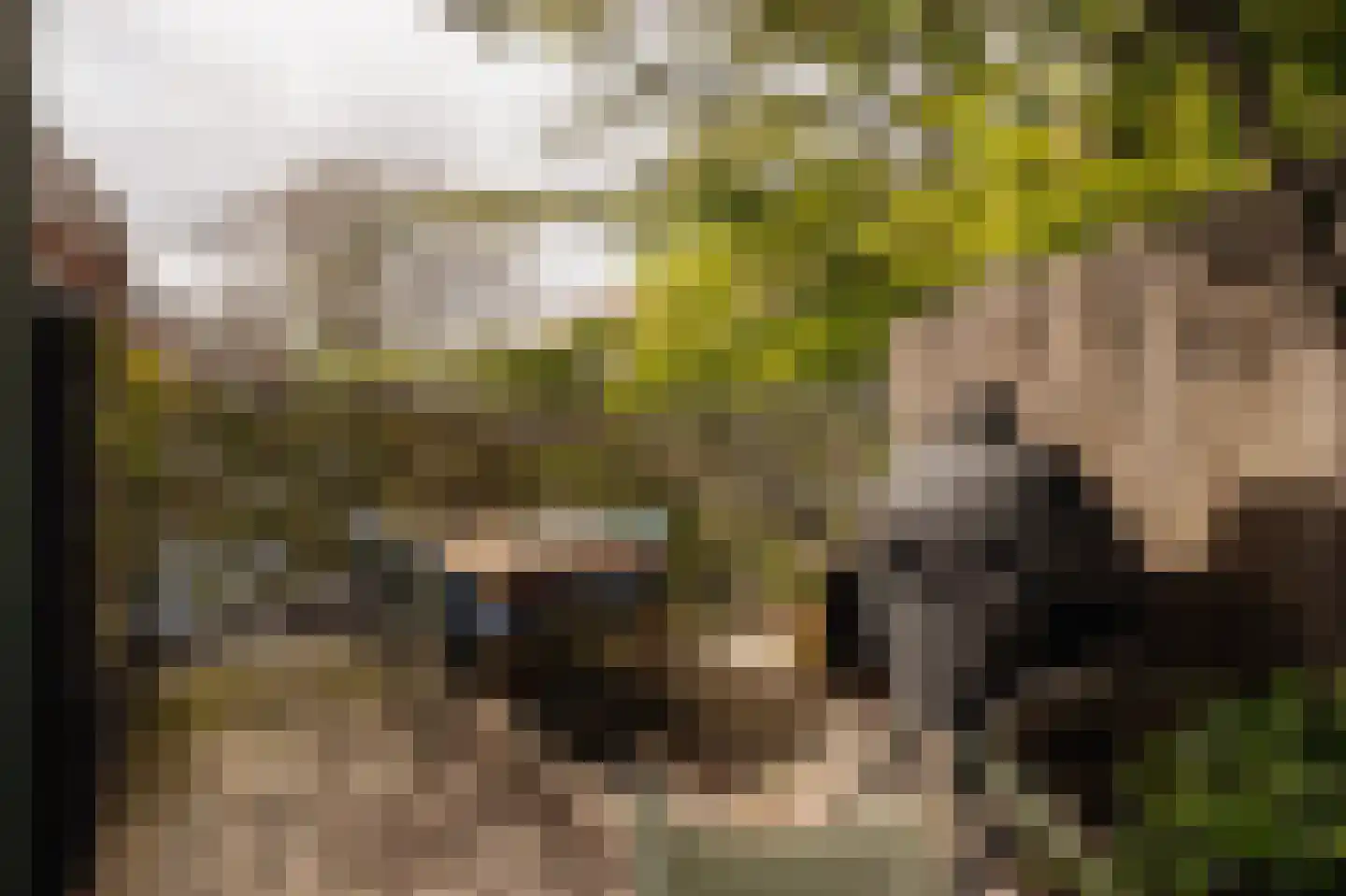 Weissenbruchstraat 3 Amsterdam thumbnail 33