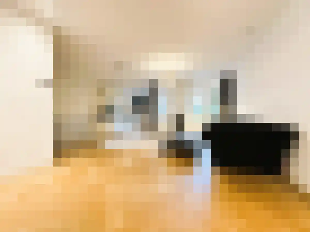 Weissenbruchstraat 32 Amsterdam thumbnail 5