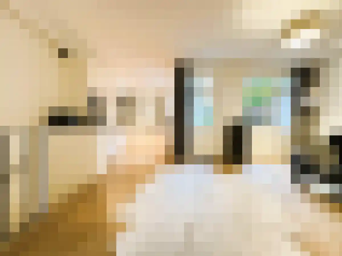Weissenbruchstraat 32 Amsterdam thumbnail 6