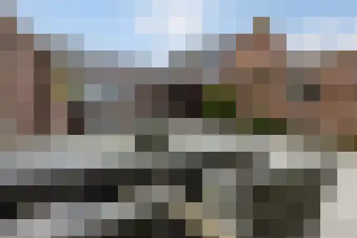 Weissenbruchstraat 76 Roosendaal thumbnail 37