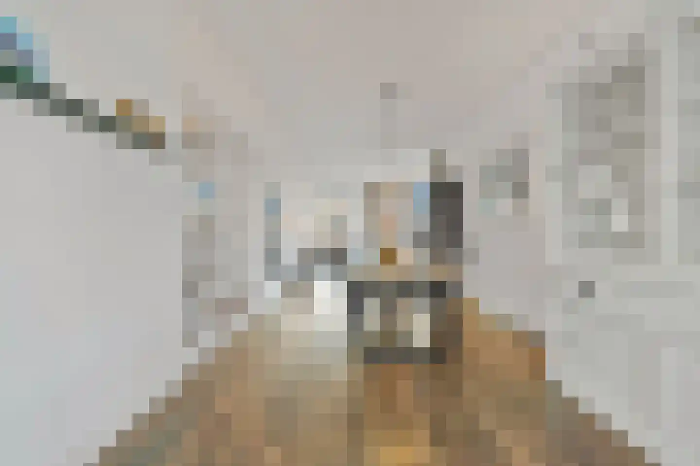 Weissenbruchstraat 77 Den Haag thumbnail 9