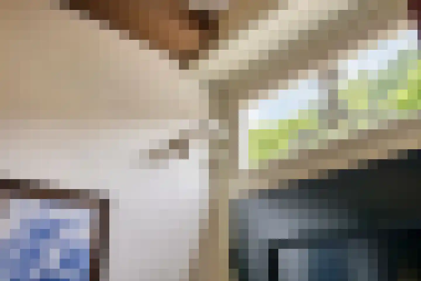 Weitjes 1 Drimmelen thumbnail 13