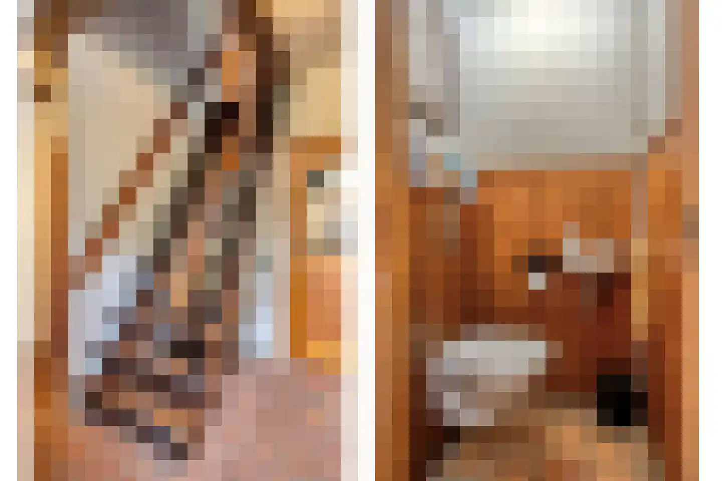 Weitjes 1 Drimmelen thumbnail 16