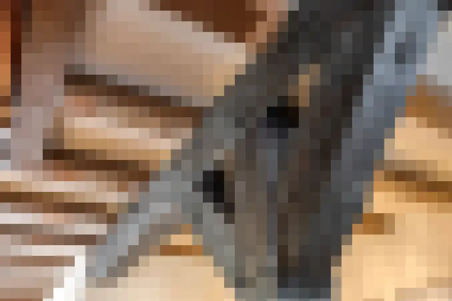 Weitjes 1 Drimmelen thumbnail 20