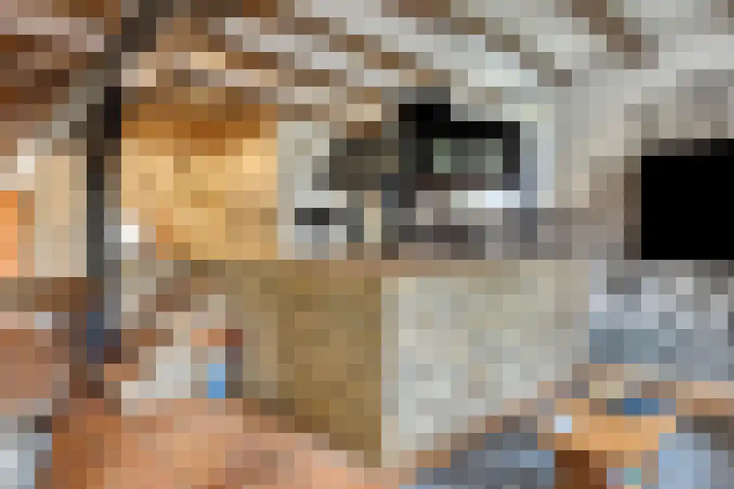 Weitjes 1 Drimmelen thumbnail 26