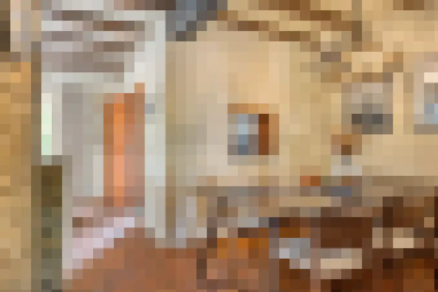 Weitjes 1 Drimmelen thumbnail 28