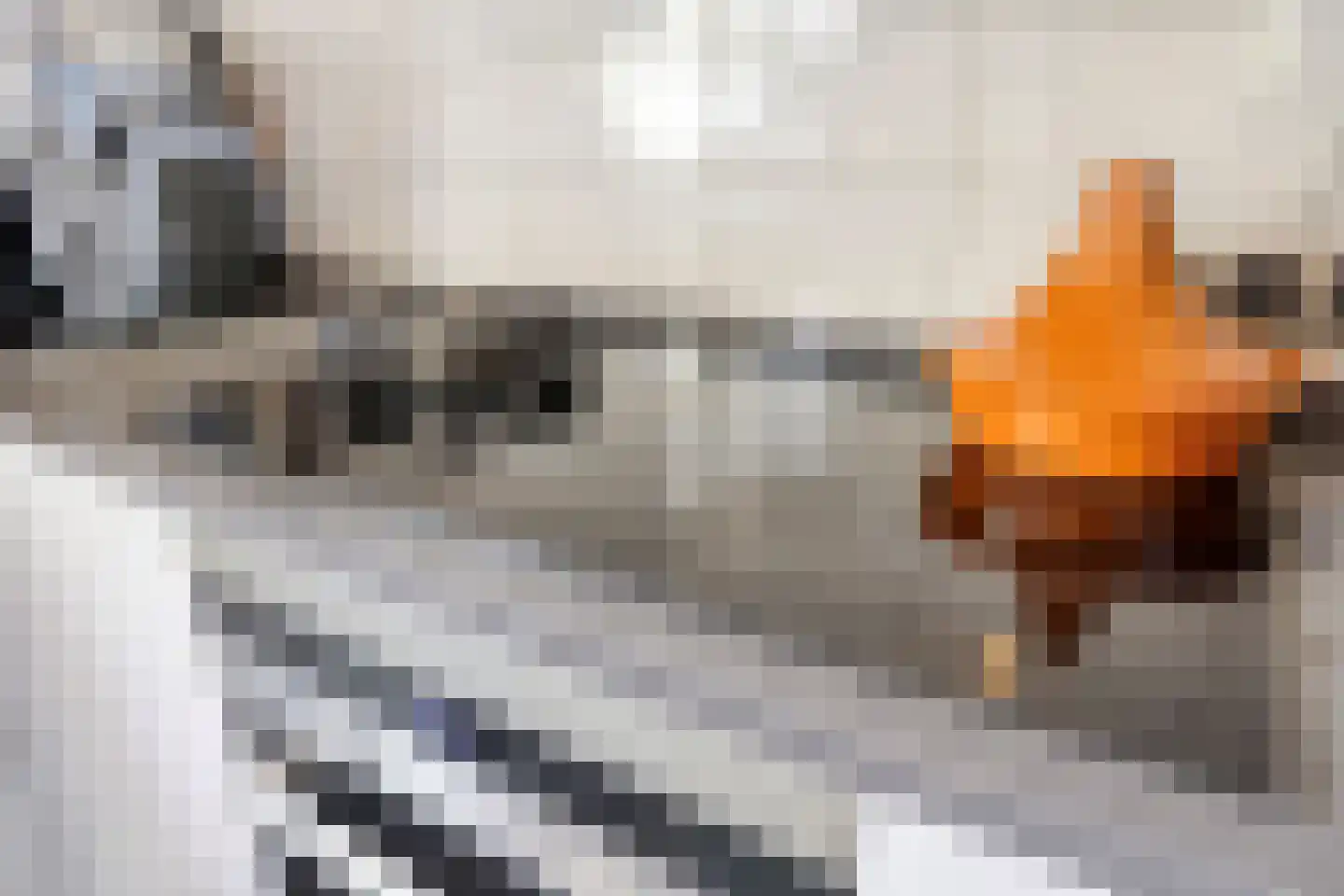 Weitjes 1 Drimmelen thumbnail 36