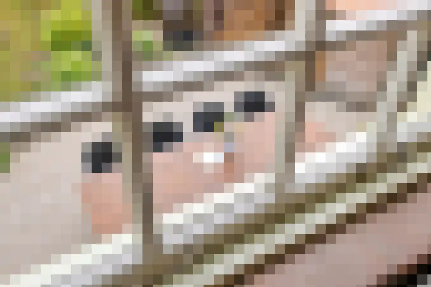 Weitjes 1 Drimmelen thumbnail 52