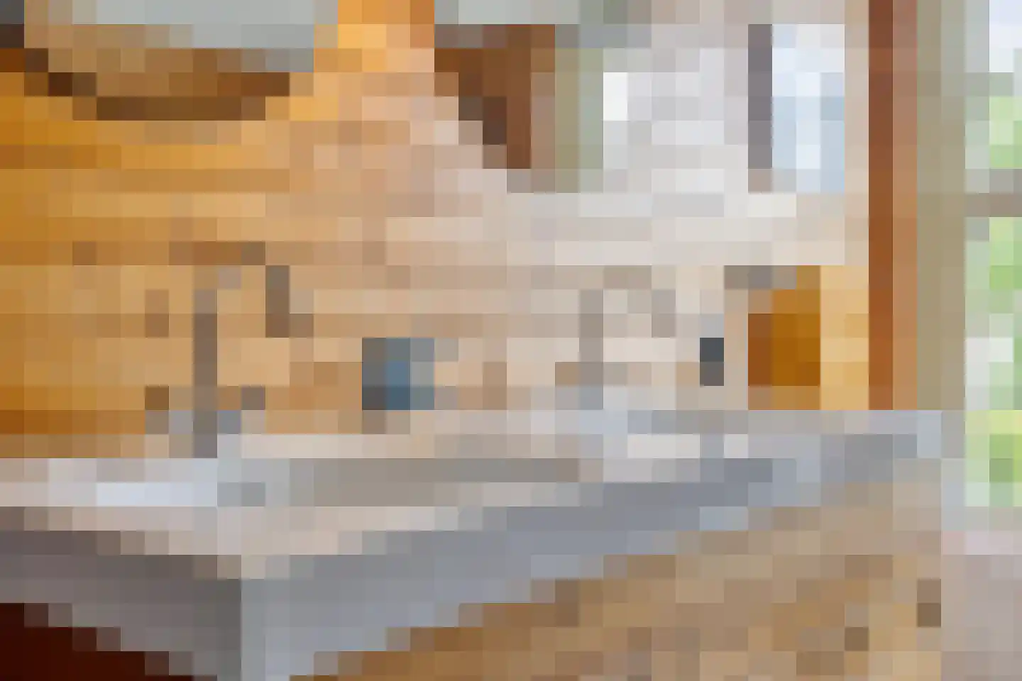 Weitjes 1 Drimmelen thumbnail 54