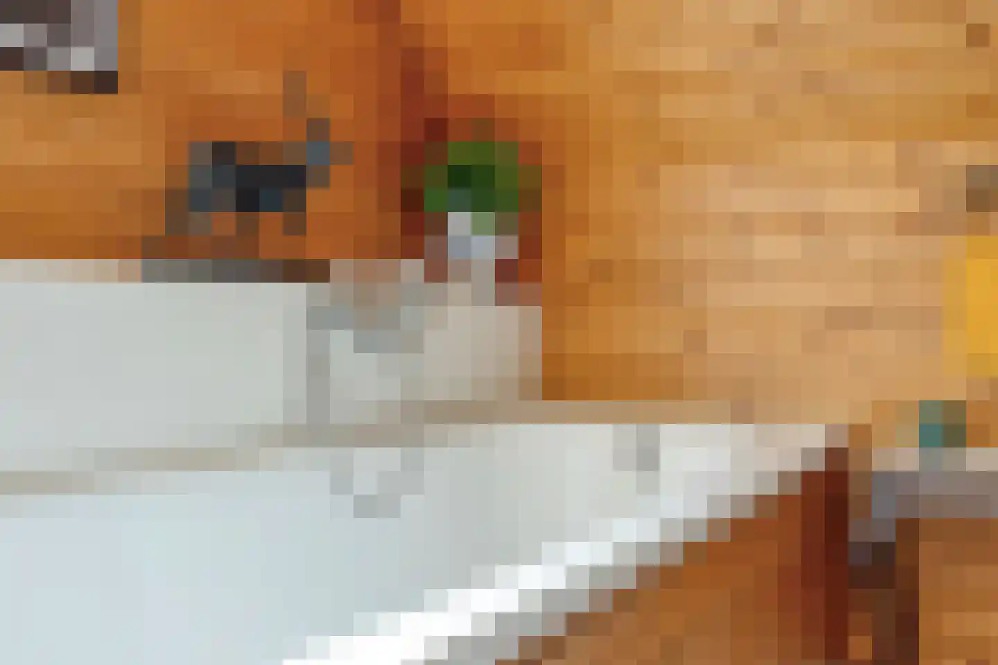 Weitjes 1 Drimmelen thumbnail 58