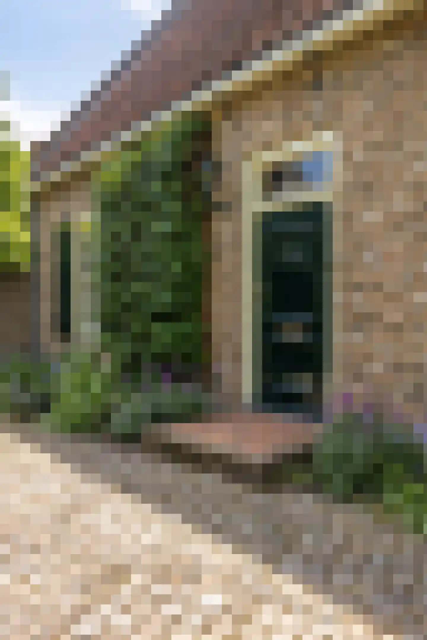 Weitjes 1 Drimmelen thumbnail 6