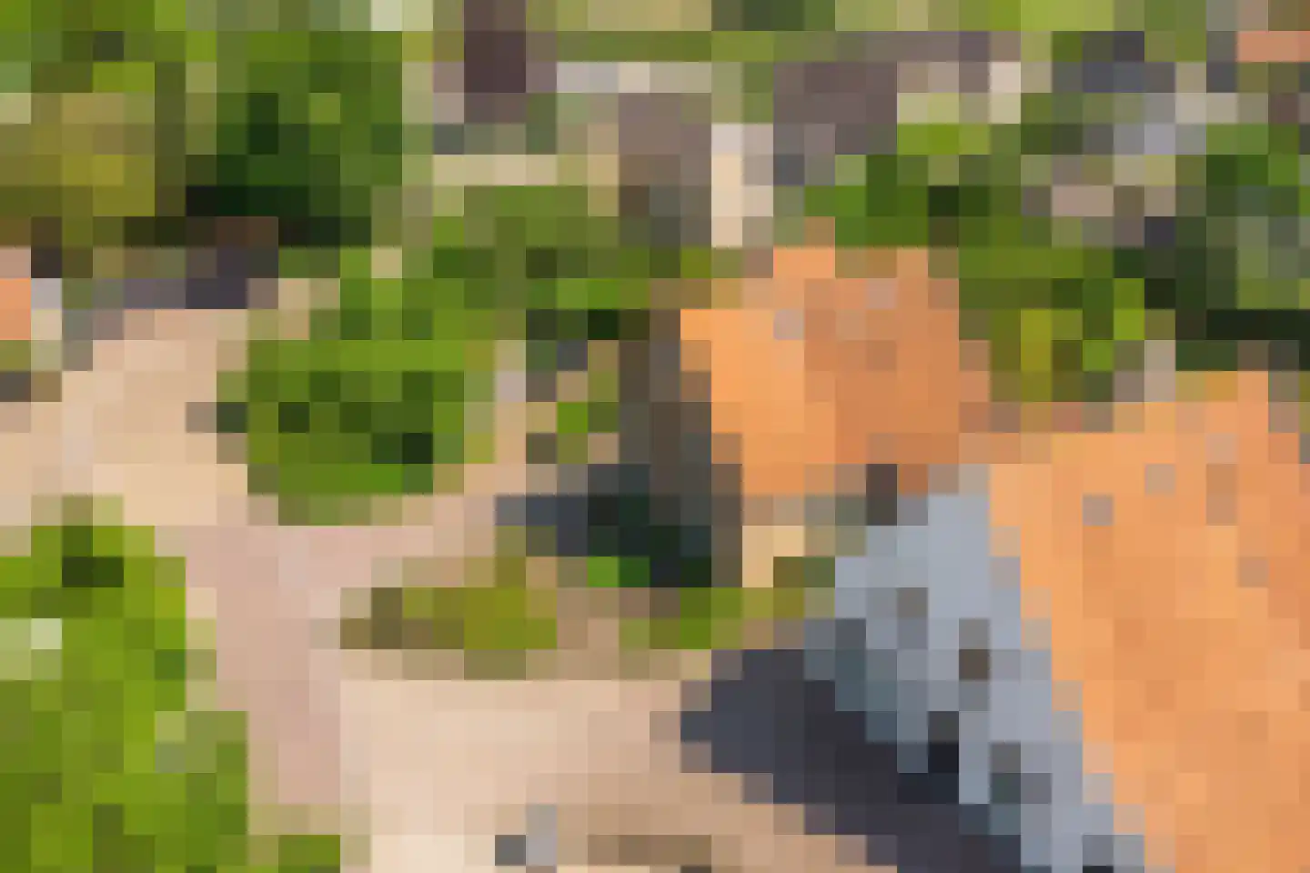 Weitjes 1 Drimmelen thumbnail 76