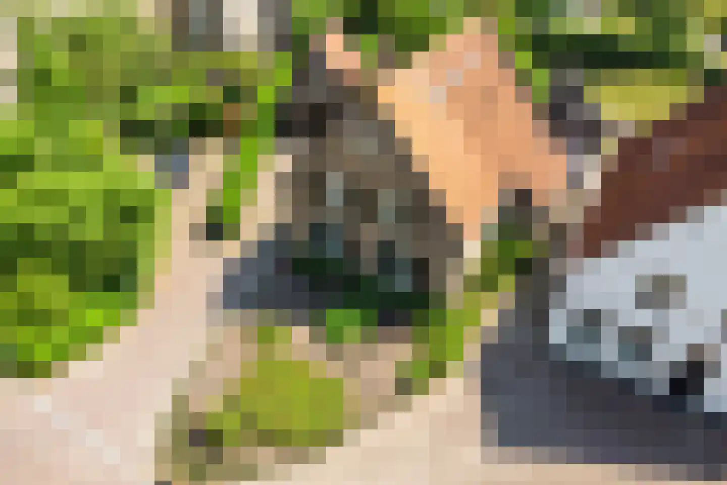 Weitjes 1 Drimmelen thumbnail 77