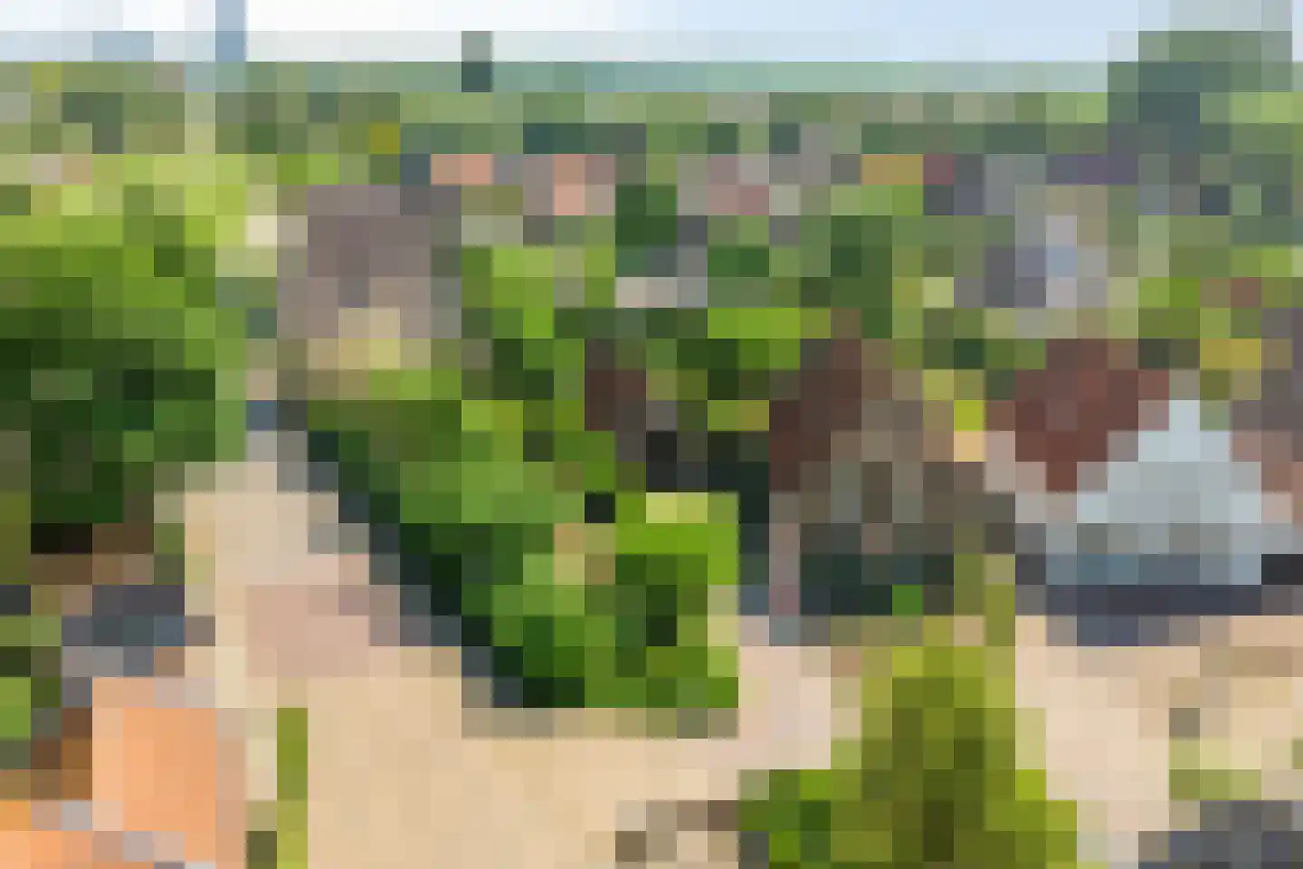 Weitjes 1 Drimmelen thumbnail 79