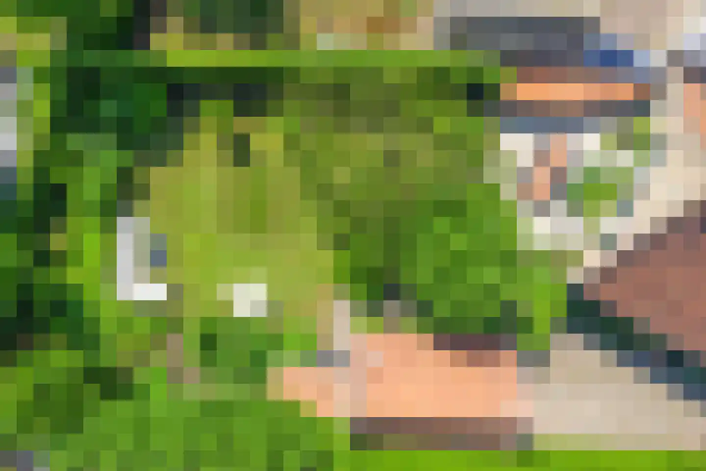 Weitjes 1 Drimmelen thumbnail 80
