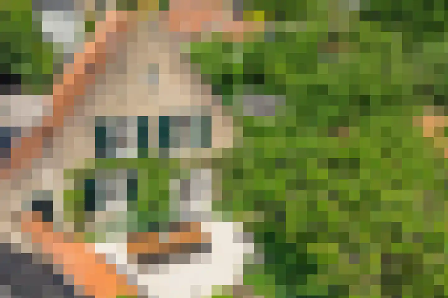 Weitjes 1 Drimmelen thumbnail 82