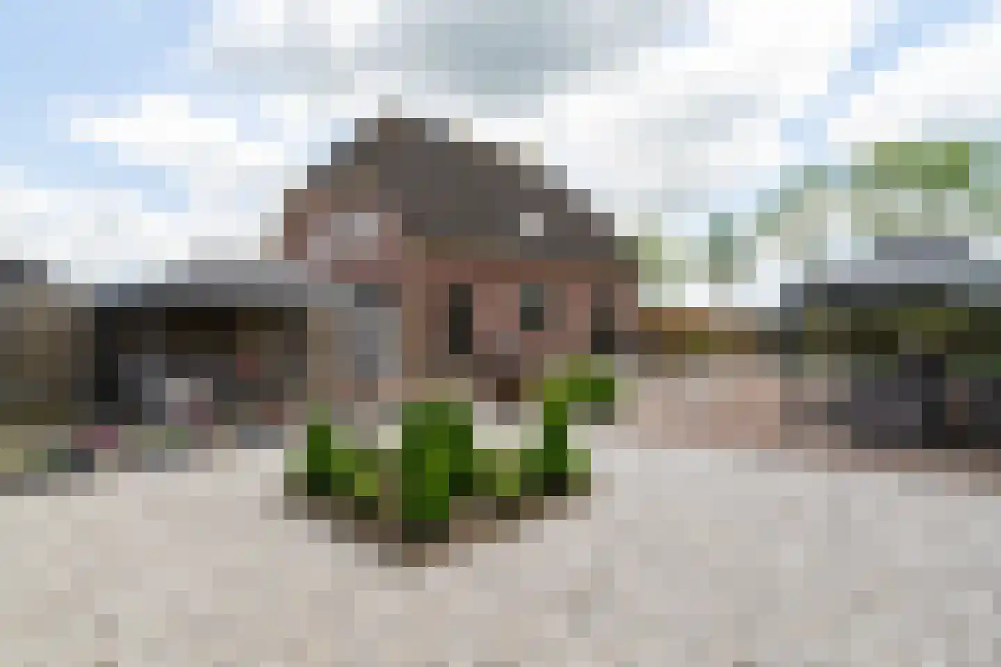 Weitjesweg 58 Brakel thumbnail 38