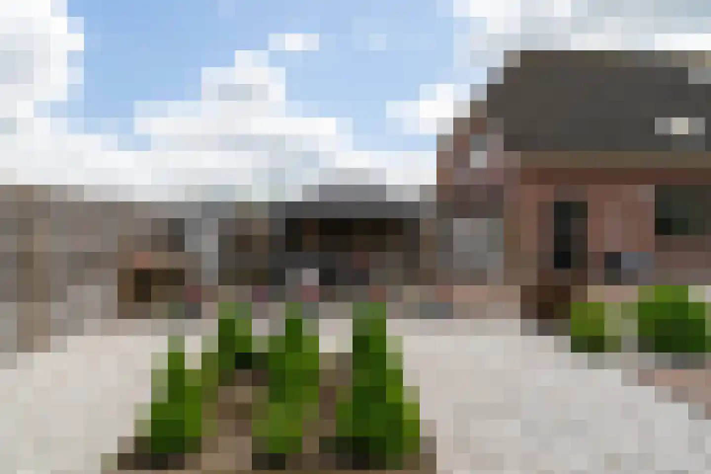 Weitjesweg 58 Brakel thumbnail 39