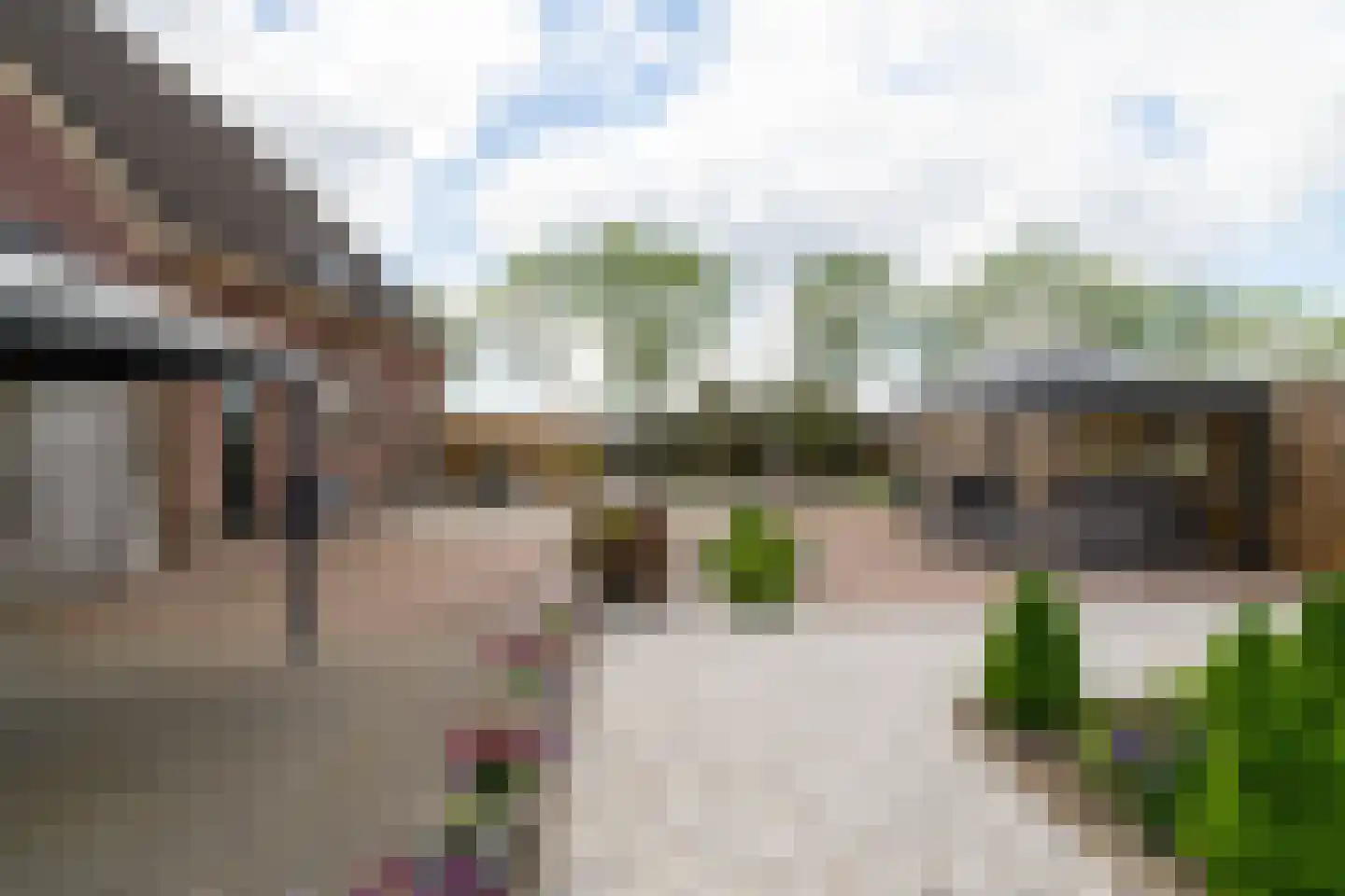 Weitjesweg 58 Brakel thumbnail 40