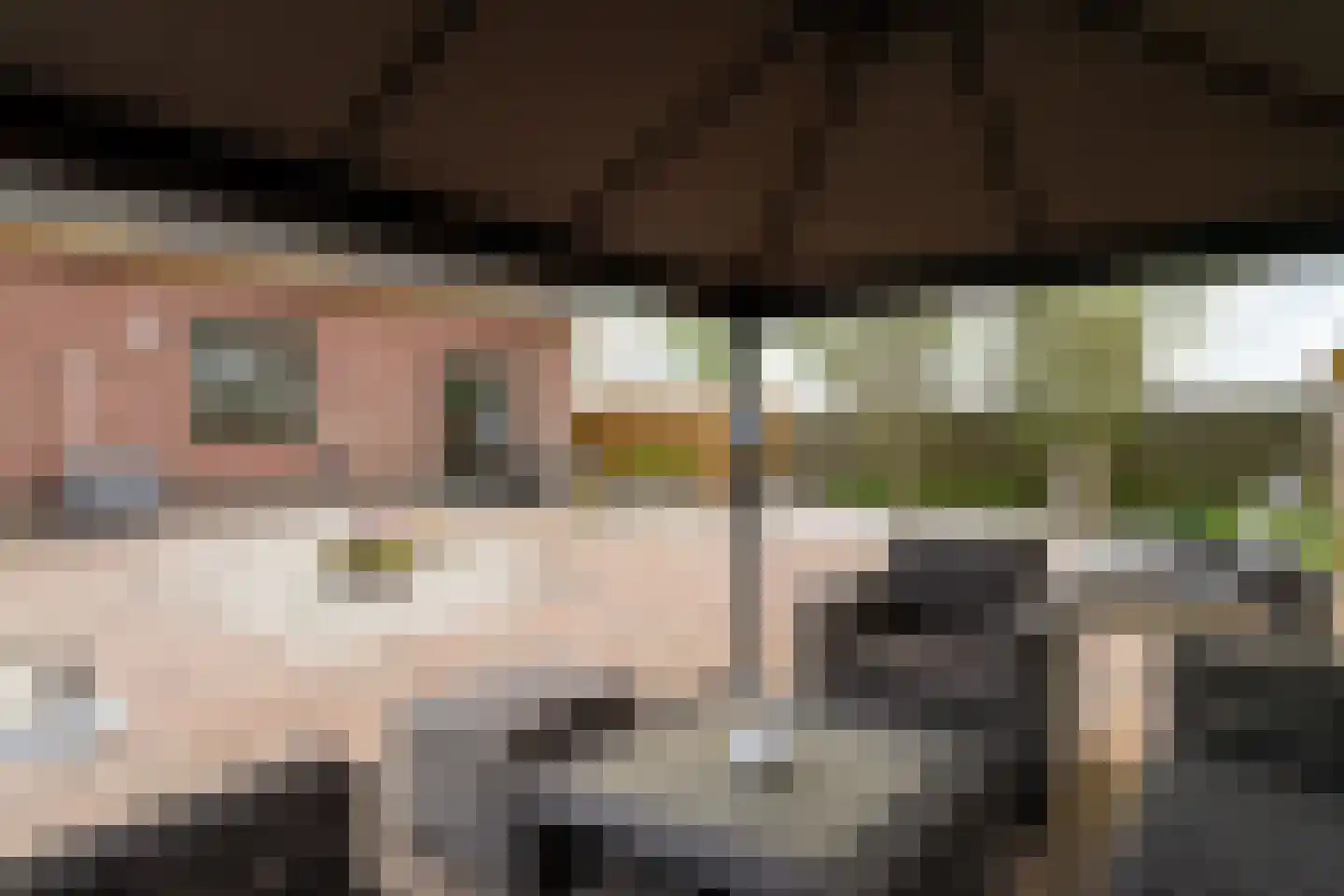 Weitjesweg 58 Brakel thumbnail 42
