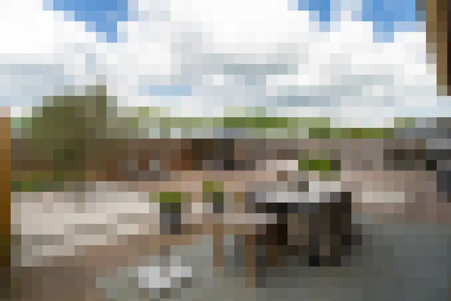 Weitjesweg 58 Brakel thumbnail 43