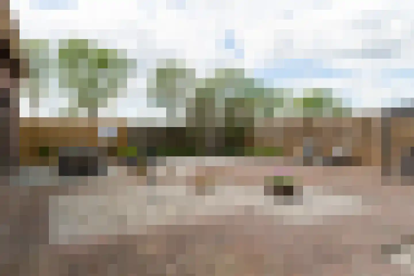 Weitjesweg 58 Brakel thumbnail 44