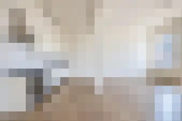 Weiver 1 A Krommenie foto 3
