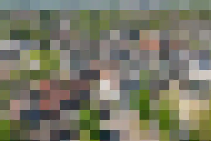 Weiver 1 A Krommenie thumbnail 30