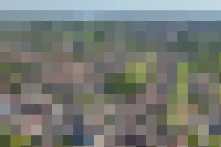 Weiver 1 A Krommenie thumbnail 32
