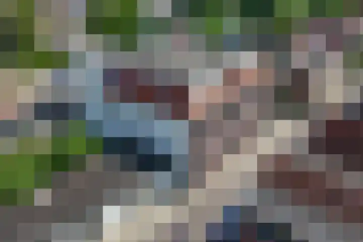 Weiver 1 A Krommenie thumbnail 5