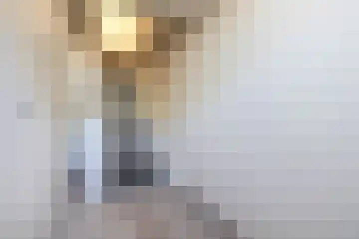 Weiver 1 A Krommenie thumbnail 8