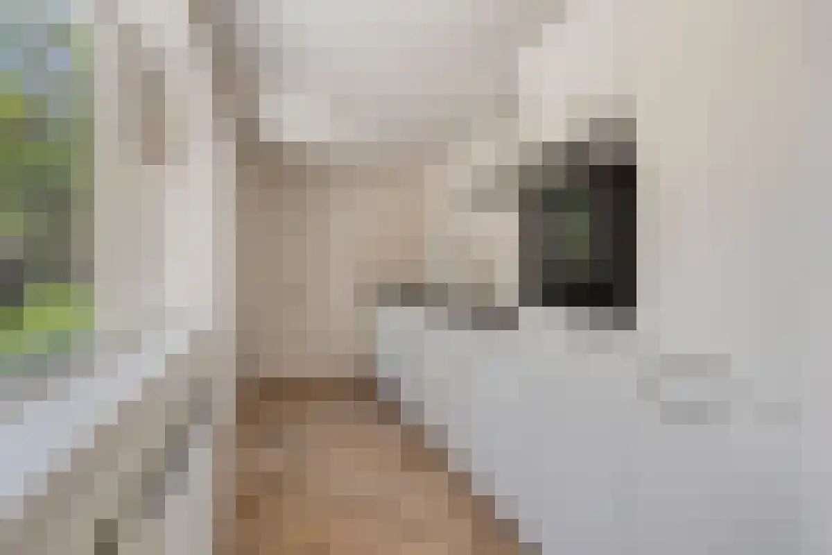 Weiver 100 Krommenie thumbnail 6